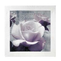 Bild Rose Parme