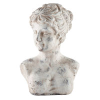 Busto Aphrodite