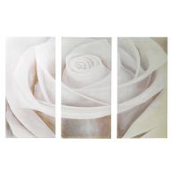 Lienzo tríptico Bouton de rose