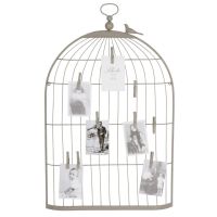 Cage oiseau pêle-mêle