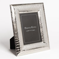 Cadre Croco chrome