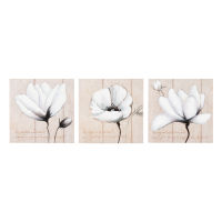 Kit 3 tele poetiche Fiori