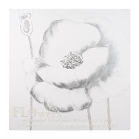 Doek Poppy zilverkleurig