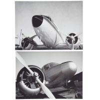 Aviator Canvas Print