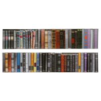 Books Diptych