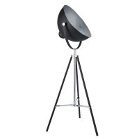 Photographer's Floor Lamp