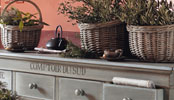Campagna