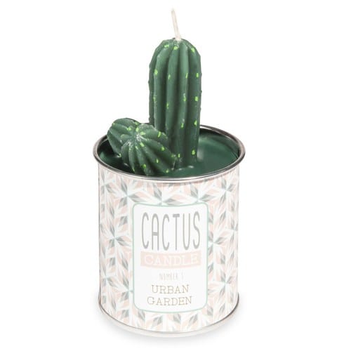 bougie en forme de cactus