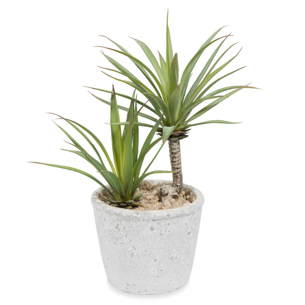 Artificial potted yucca H 24 cm Maisons du Monde