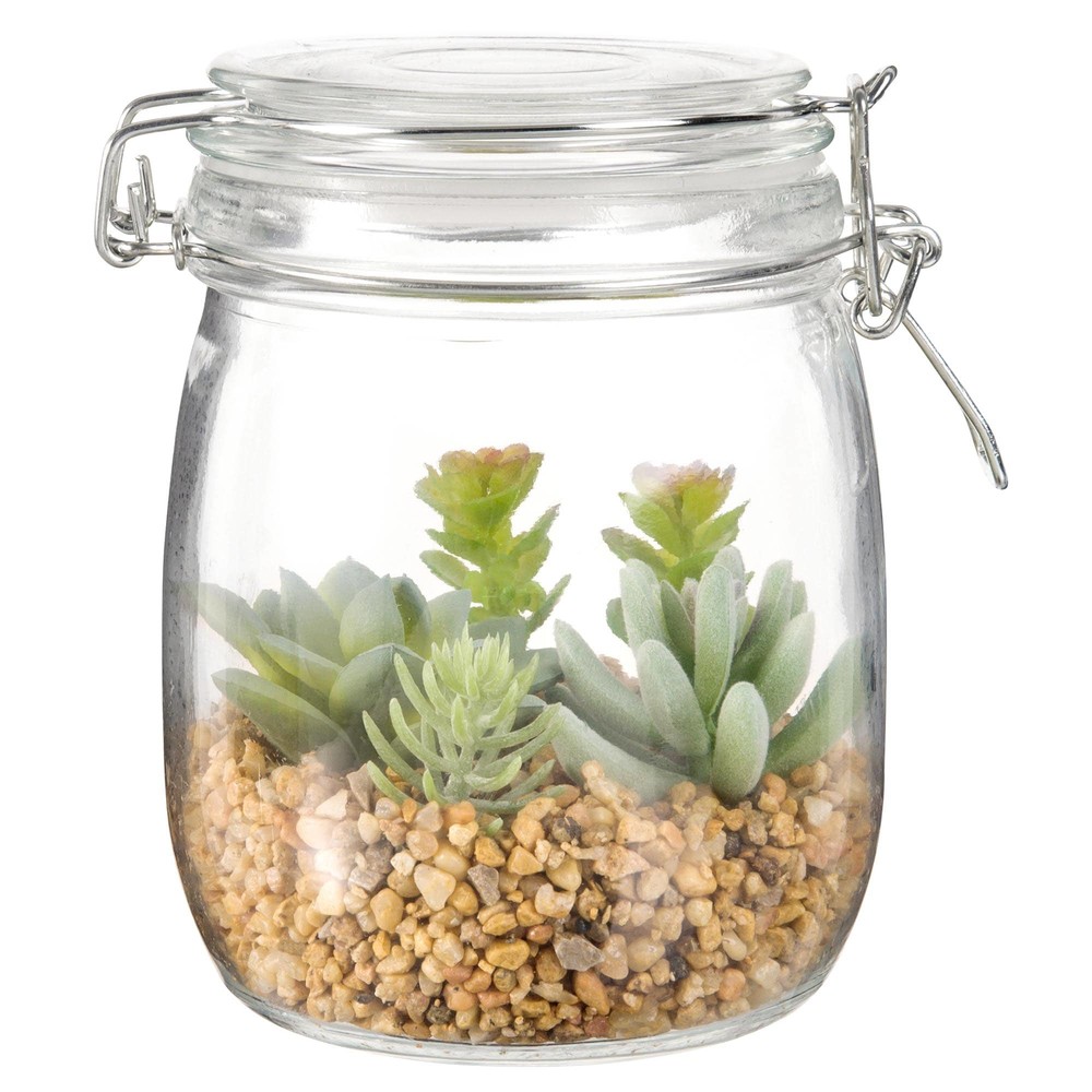 Artificial Succulents with Glass Jar Maisons du Monde
