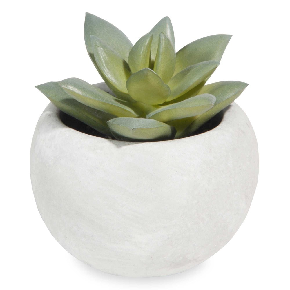 Potted artificial minisucculent Maisons du Monde