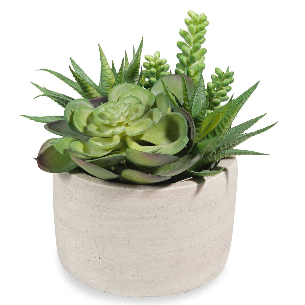 URBAN artificial succulents in pot Maisons du Monde